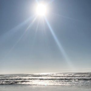 Meet your Posher, Belle